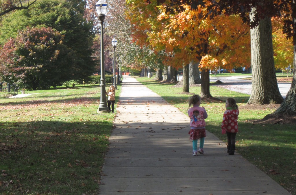 Walking the campus in the fall